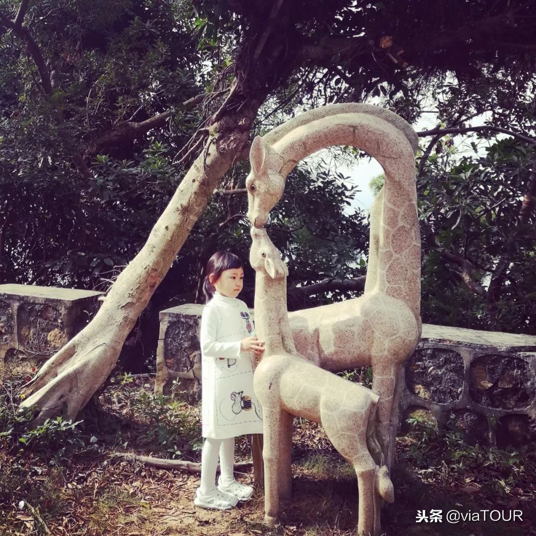 国庆南澳岛两天一夜攻略,东澳岛国庆两日游攻略