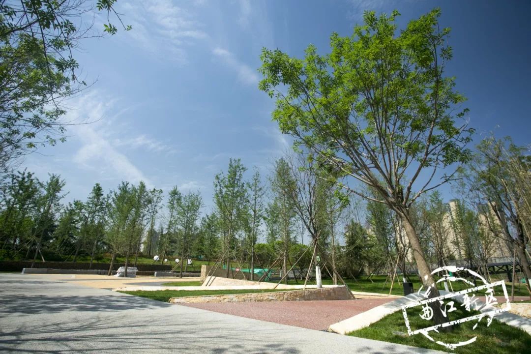 这个周日，新青年就要来曲*青江**年森林公园