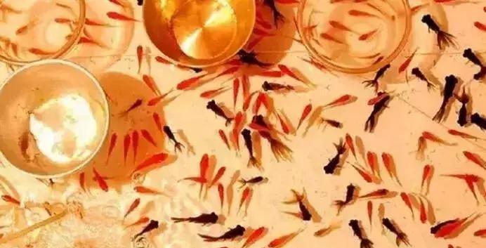 这道难倒十万读者的推理闯关题，你能破解吗？