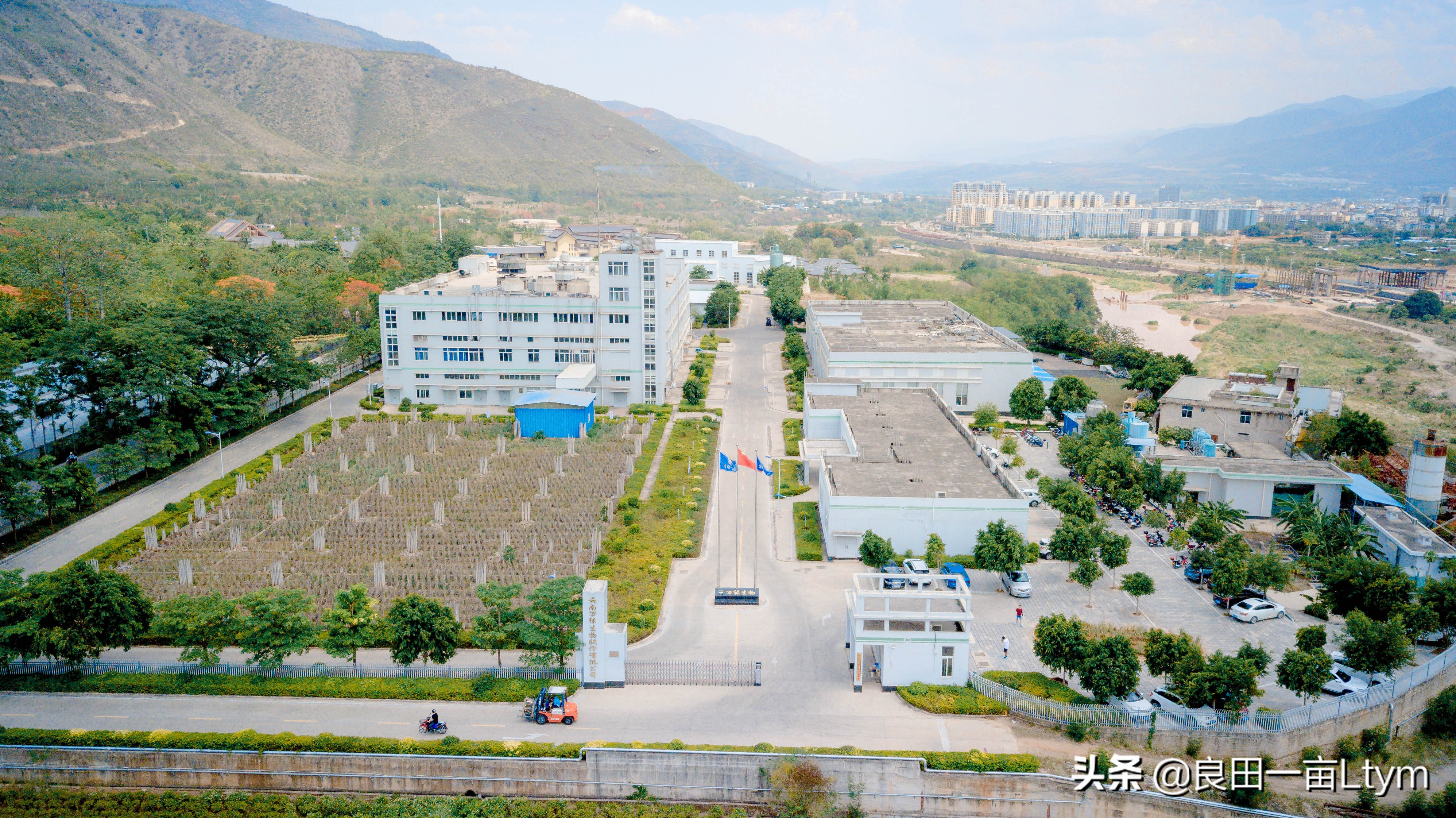 云南天然芦荟护肤品舒缓调理 (云南元江万亩芦荟基地的芦荟水)