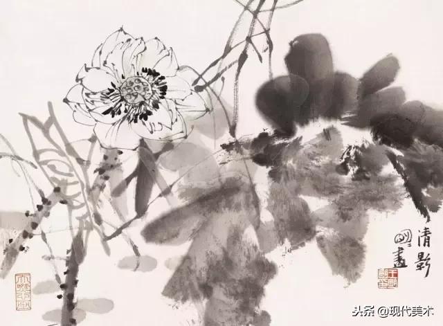 王阳明知行合一,王明明喜欢赵明龙吗