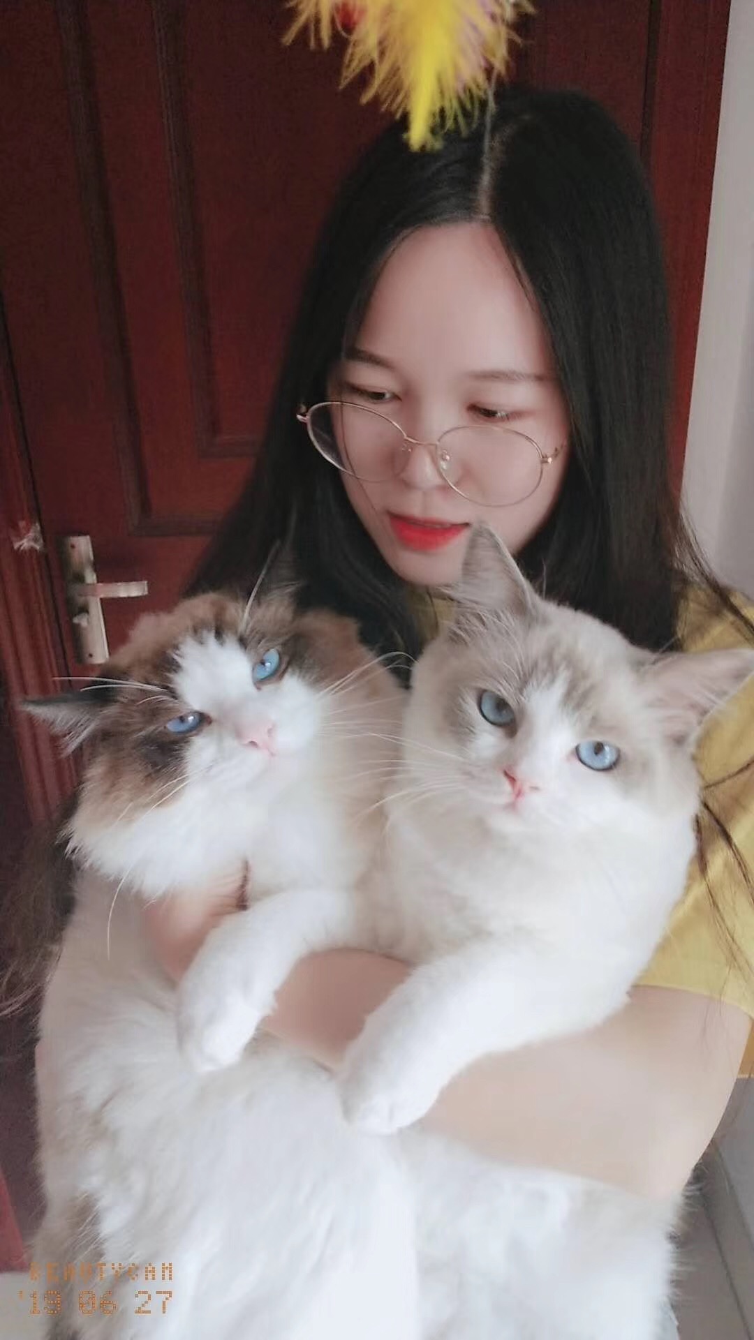 养一只布偶猫是什么感受啊,布偶猫好养吗有什么优点