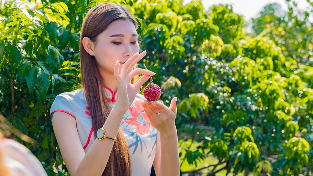 海口附近的荔枝采摘园有地过夜吗,海口周边采摘荔枝一日游最佳地点