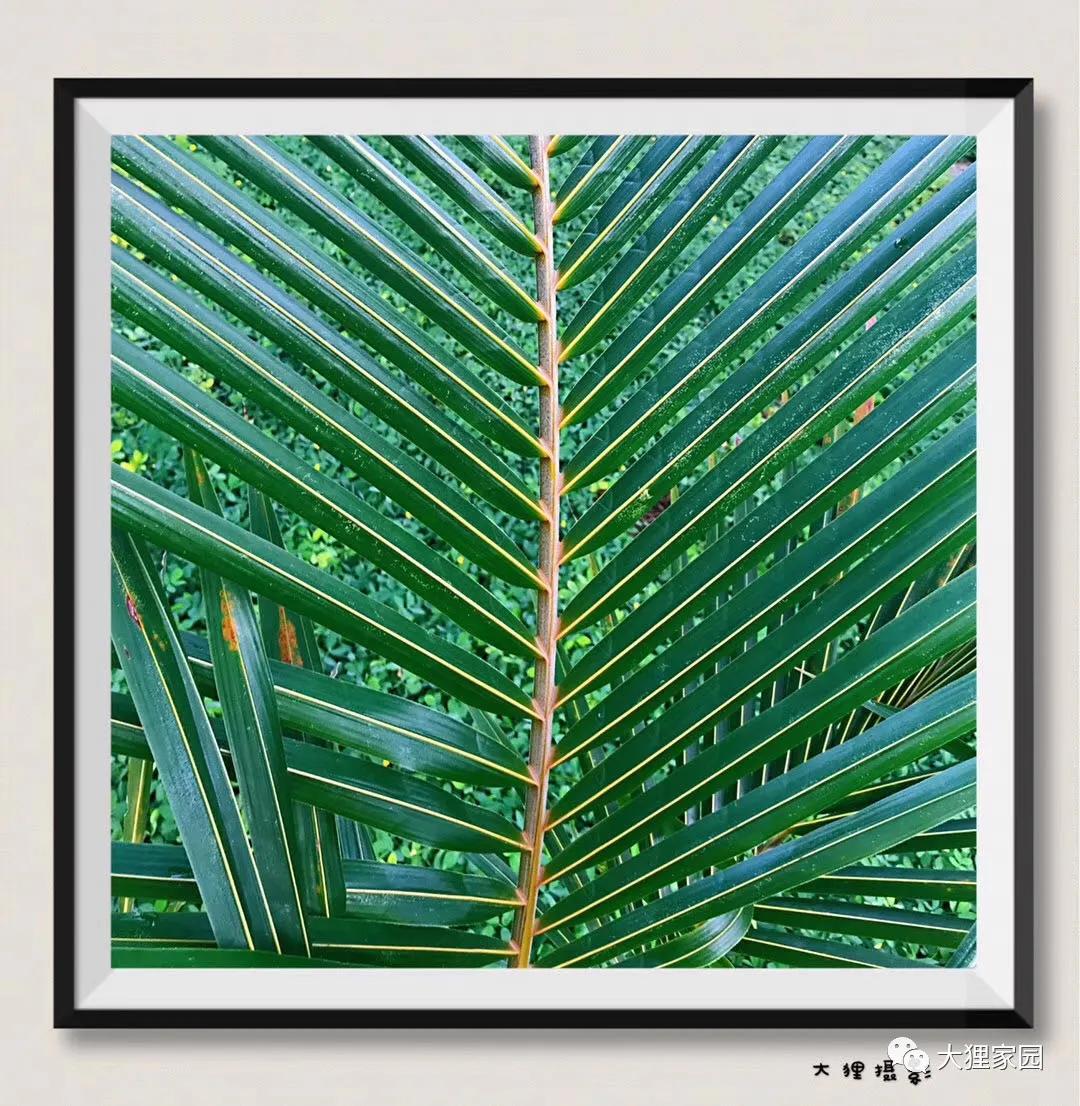 带娃的日子有滋有味,日子过得有滋有味广场舞