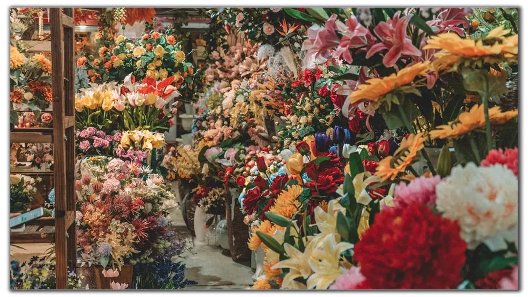 昆明周边小众打卡村落,昆明最值得去的六大村落