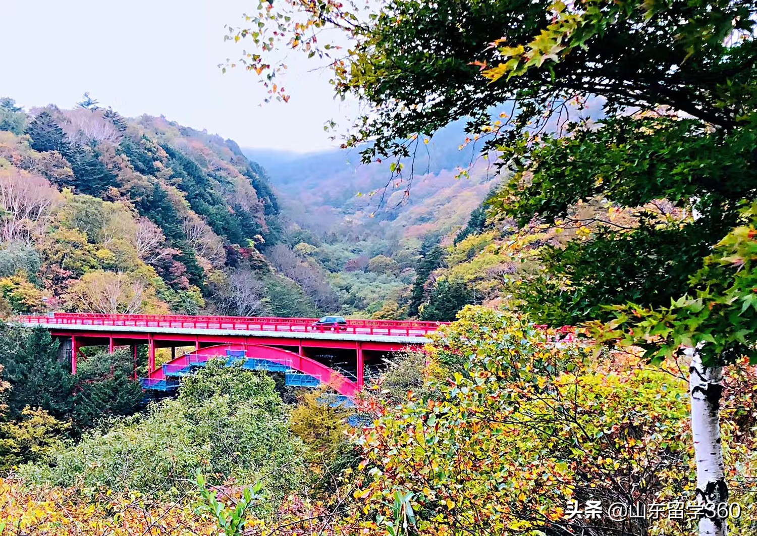 日本留学行李准备攻略,日本留学注意事项