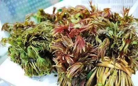 去到郑州不得不吃的六种美食,春天里最不可错过的美食