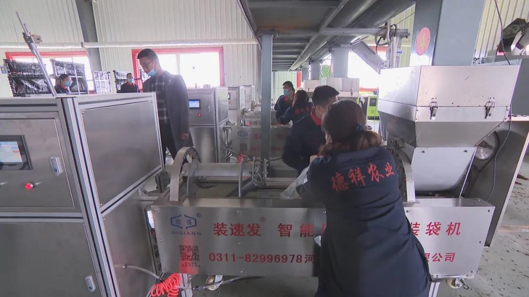 德祥农业种植开发,德祥农业大项目