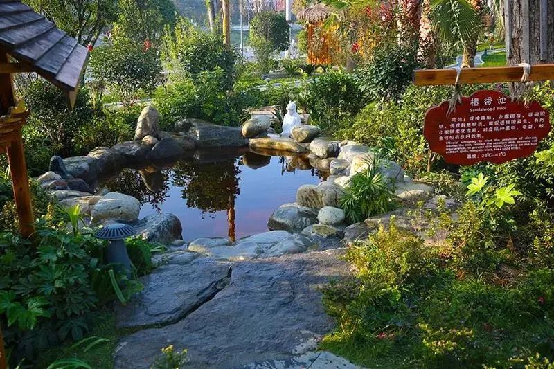 仙人街景区赏花攻略,吉尼斯打卡仙人街