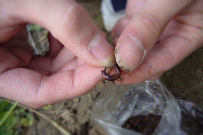 饵料用不完,就别再扔了,这才是最佳的处理方式,十之八九你不知