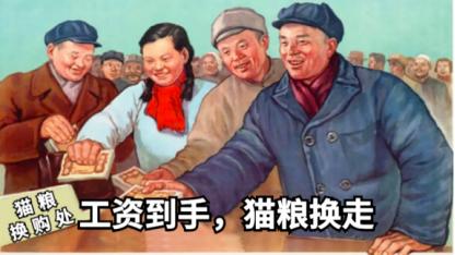 祺鑫养猫实录,穷人养猫实录