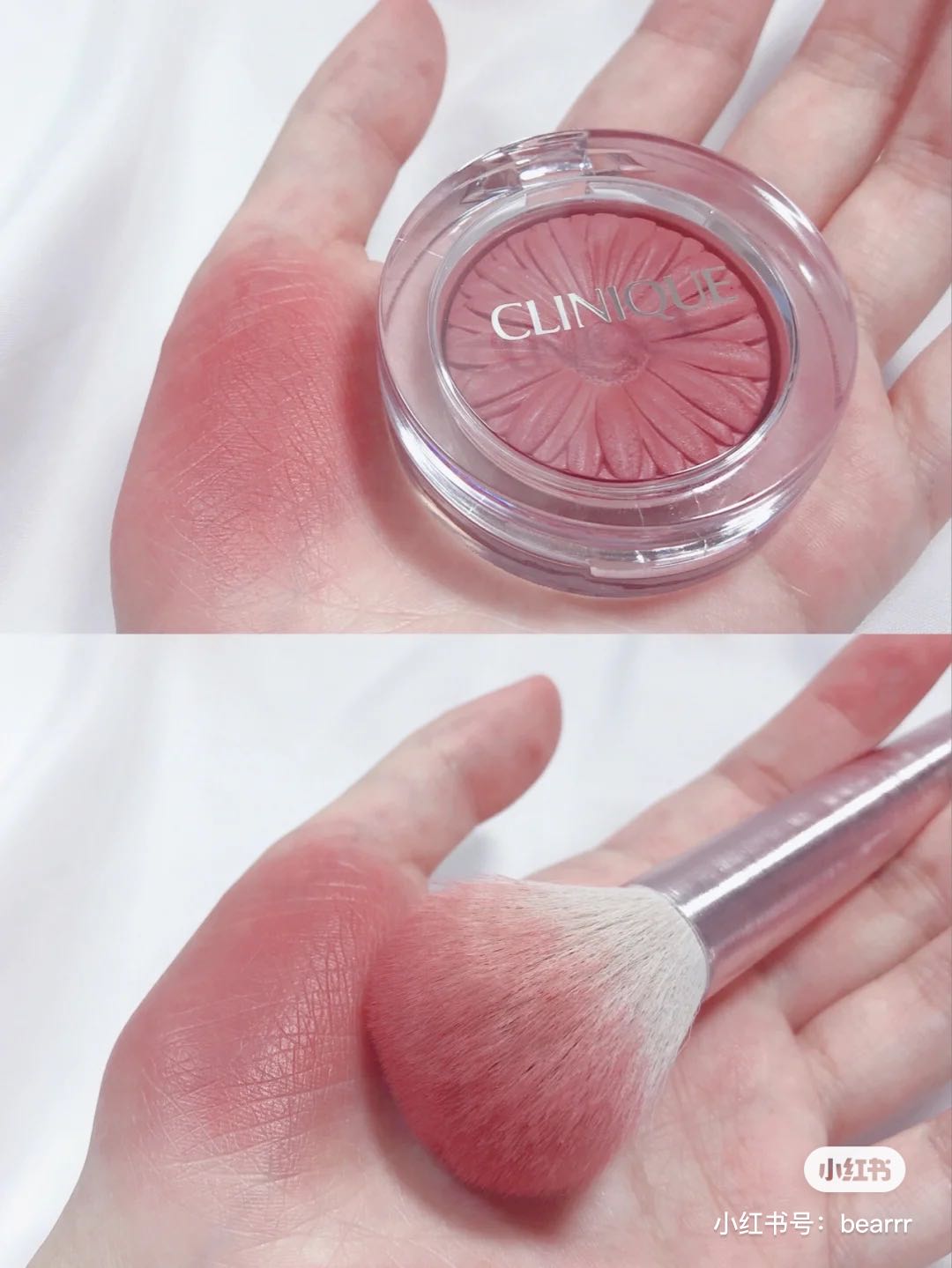 小雏菊带香味,小雏菊花果香