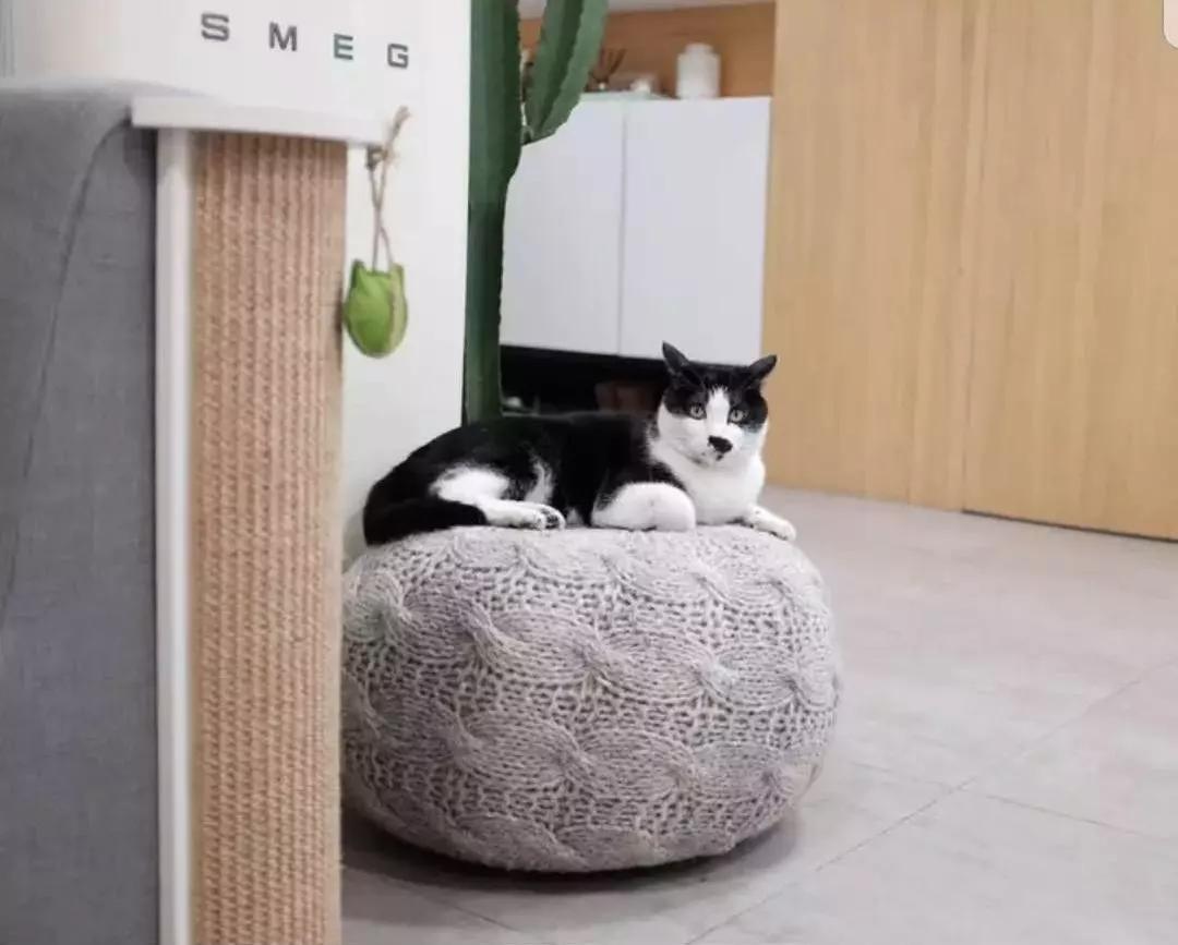 好看的北欧风格婚房,北欧风格小清新婚房