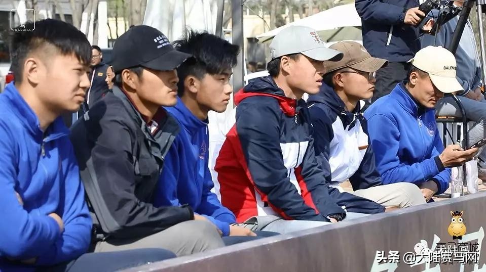 亳州马术,马术俱乐部亳州