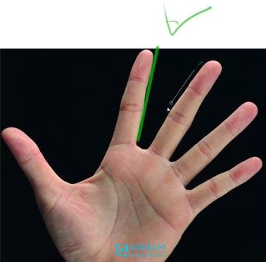 动漫简笔画手部绘画,二次元动漫手部画法