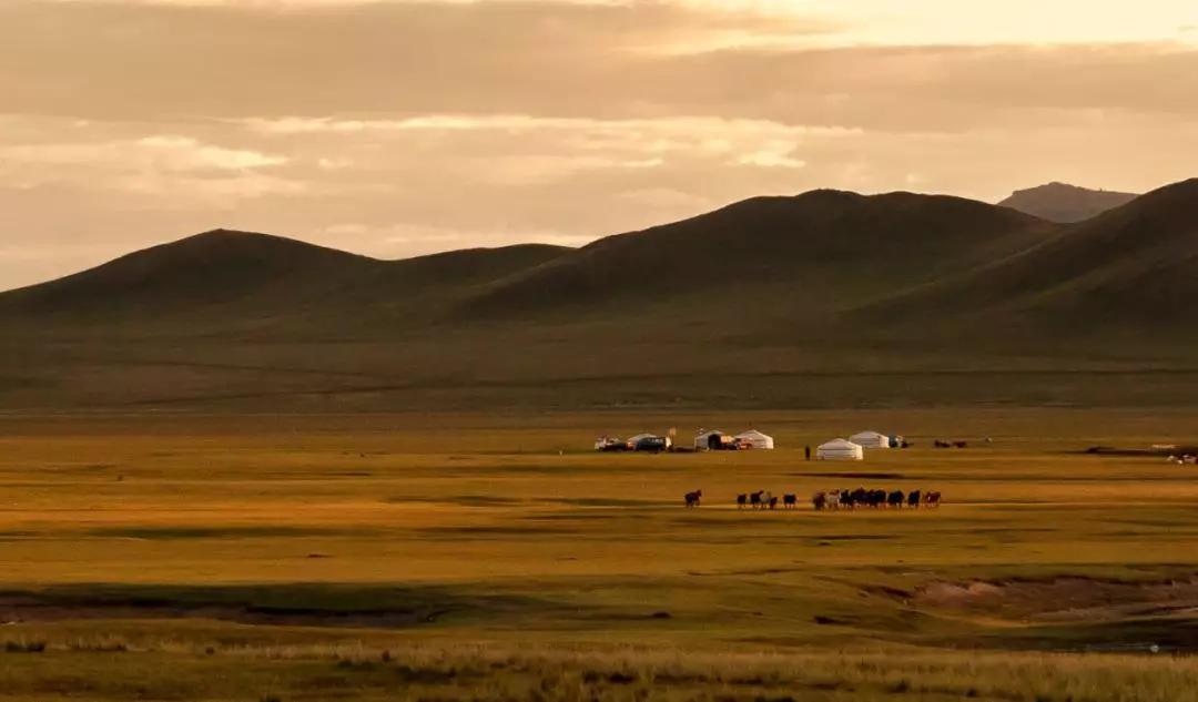 囧妈火车路线是西伯利亚铁路吗,囧妈火车路线都经过什么站