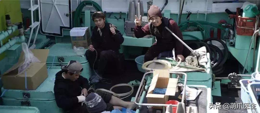 怎样让猫咪喝水才正确,猫咪进厕所喝水