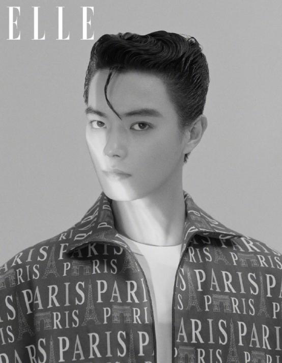 许凯吴谨言elle,许凯瑷尔博士