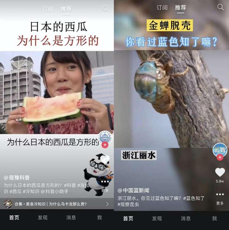 这一刀太狠了,这一刀太狠了原版