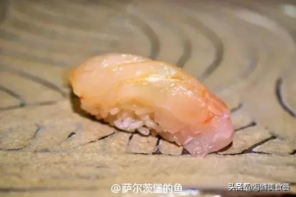 32种经典寿司做法视频,寿司常用的鱼