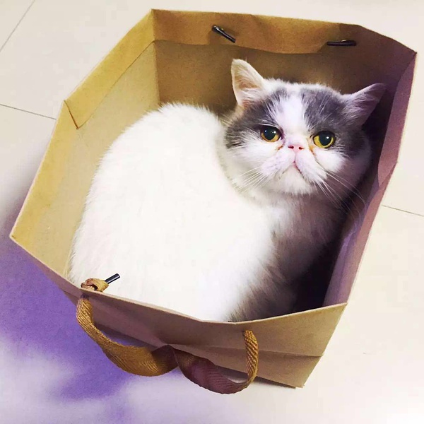 广州租房最便宜的区排行,最近广州租房一楼哪里便宜又好