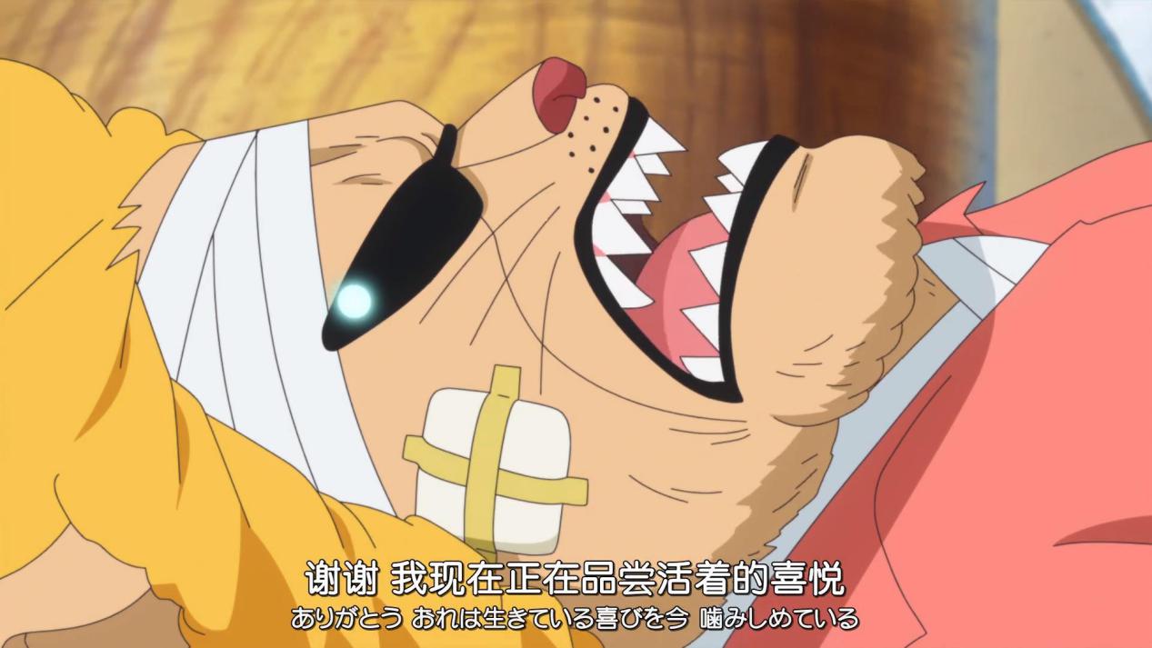 海贼王燃烧意志新世界罗宾和鹰眼,航海王海岛68-5罗宾鹰眼怎么过