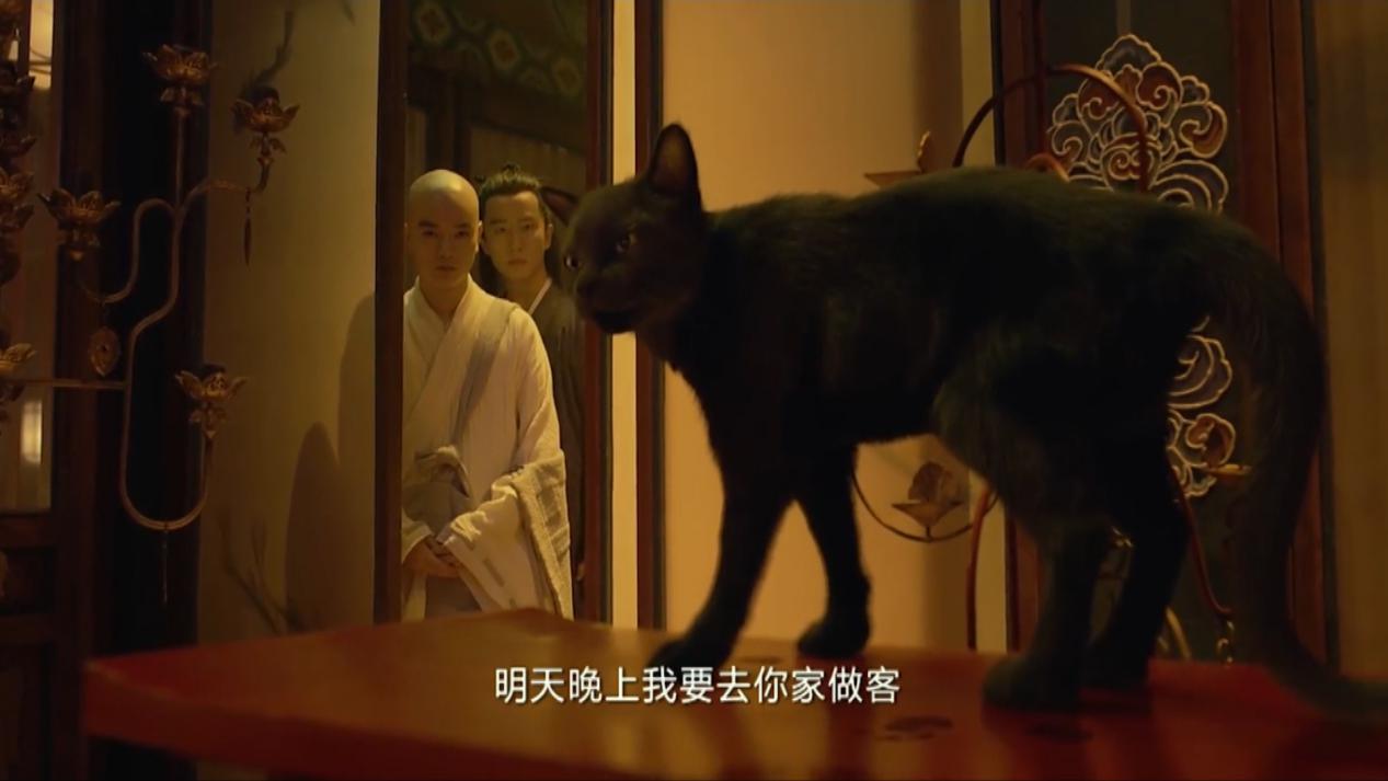 妖猫传杨贵妃知道了自己的命运,妖猫传杨贵妃的一生