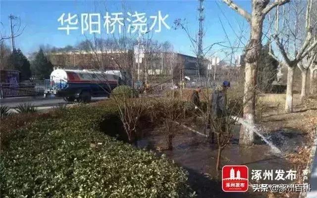 涿州华阳路东兴街最新消息,涿州最新复工通知