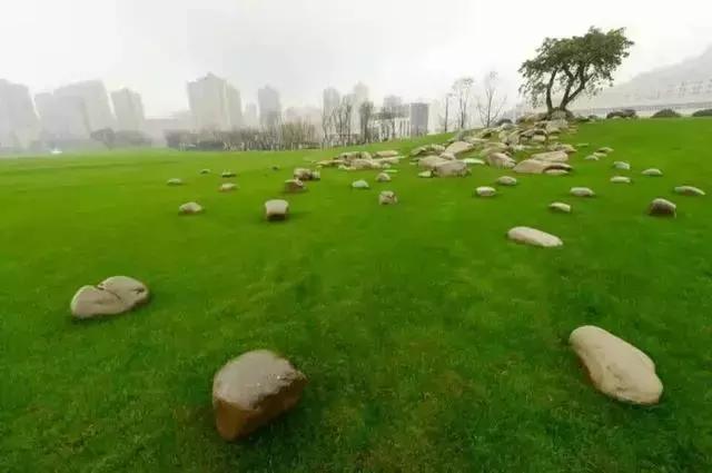 云阳下一个商圈,重庆云阳发展风貌