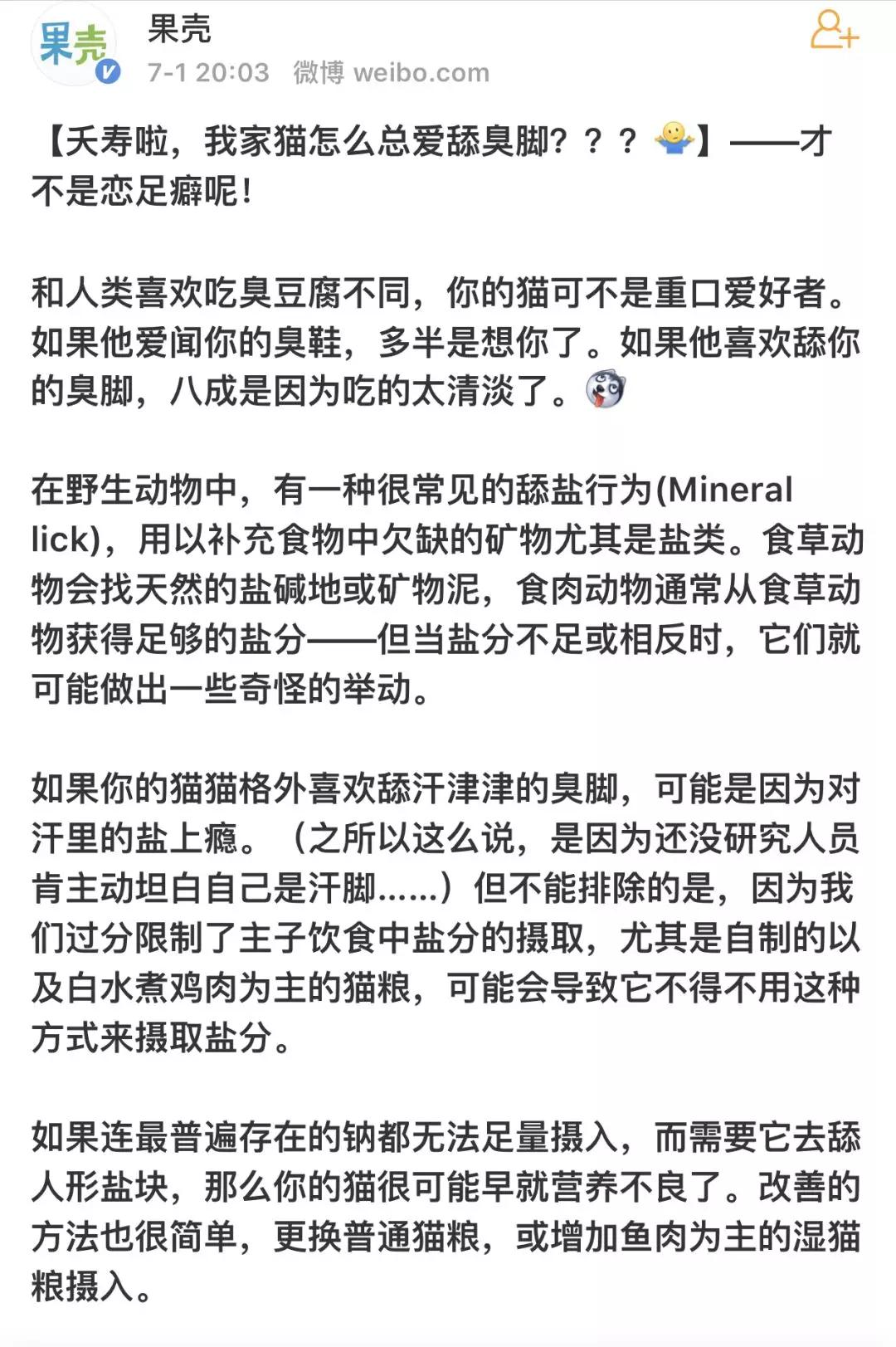 猫咪喜欢铲屎官是怎么回事,猫咪铲屎官要知道的知识