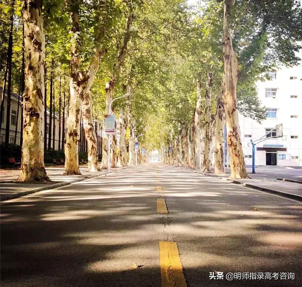 海军五所军校,中国海军五所学校