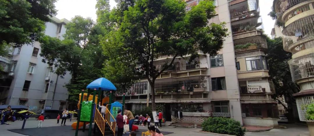 番禺市桥的老破小,市桥老破小