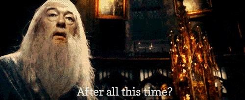 哈利波特四十岁生日的样子,哈利波特十九年后