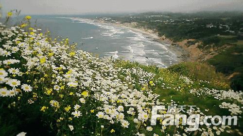 成都怎么过冬的,成都人冬天喜欢去哪过冬
