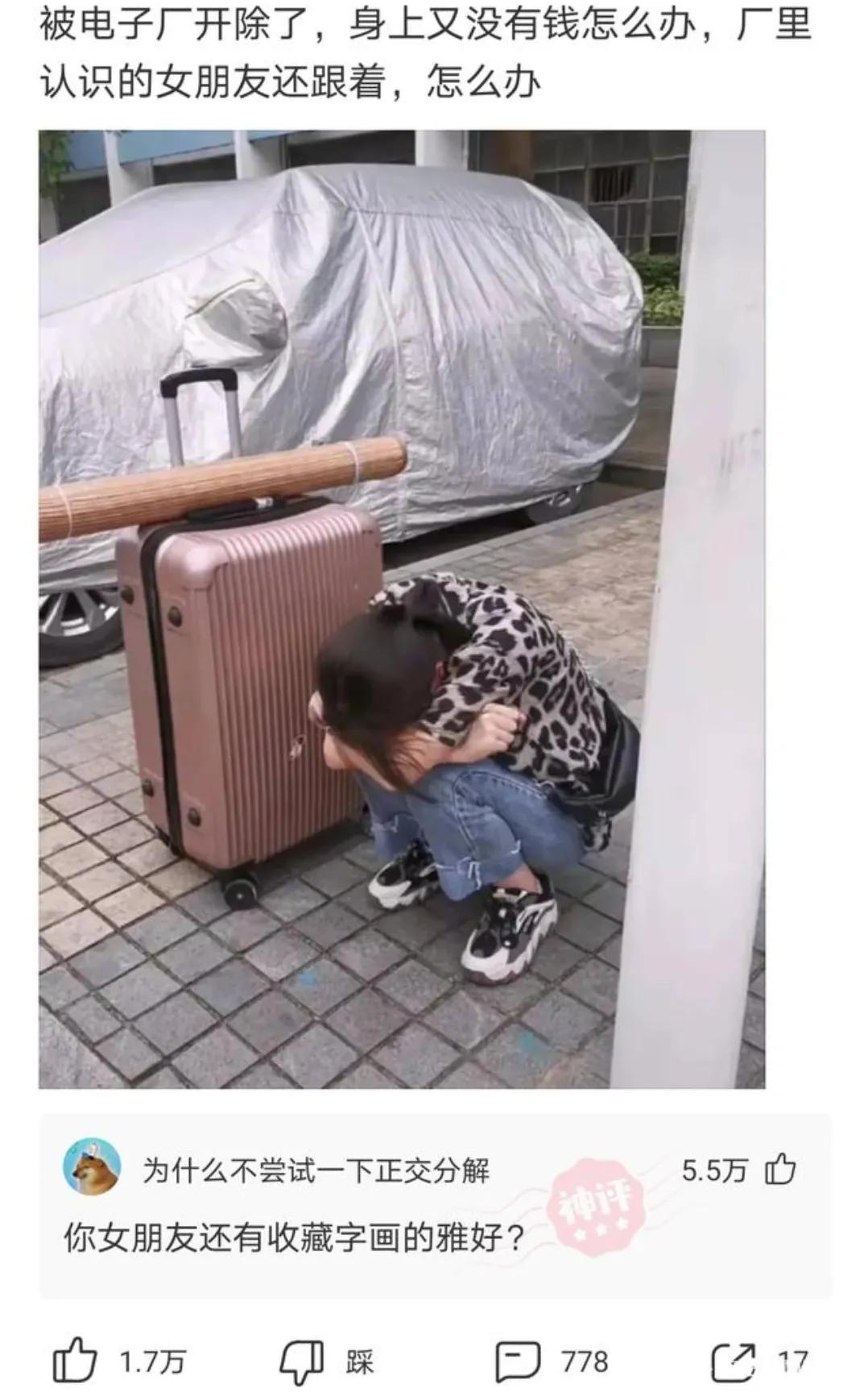 养了三年的兔子淹死了搞笑评论,神评论养了五年的羊