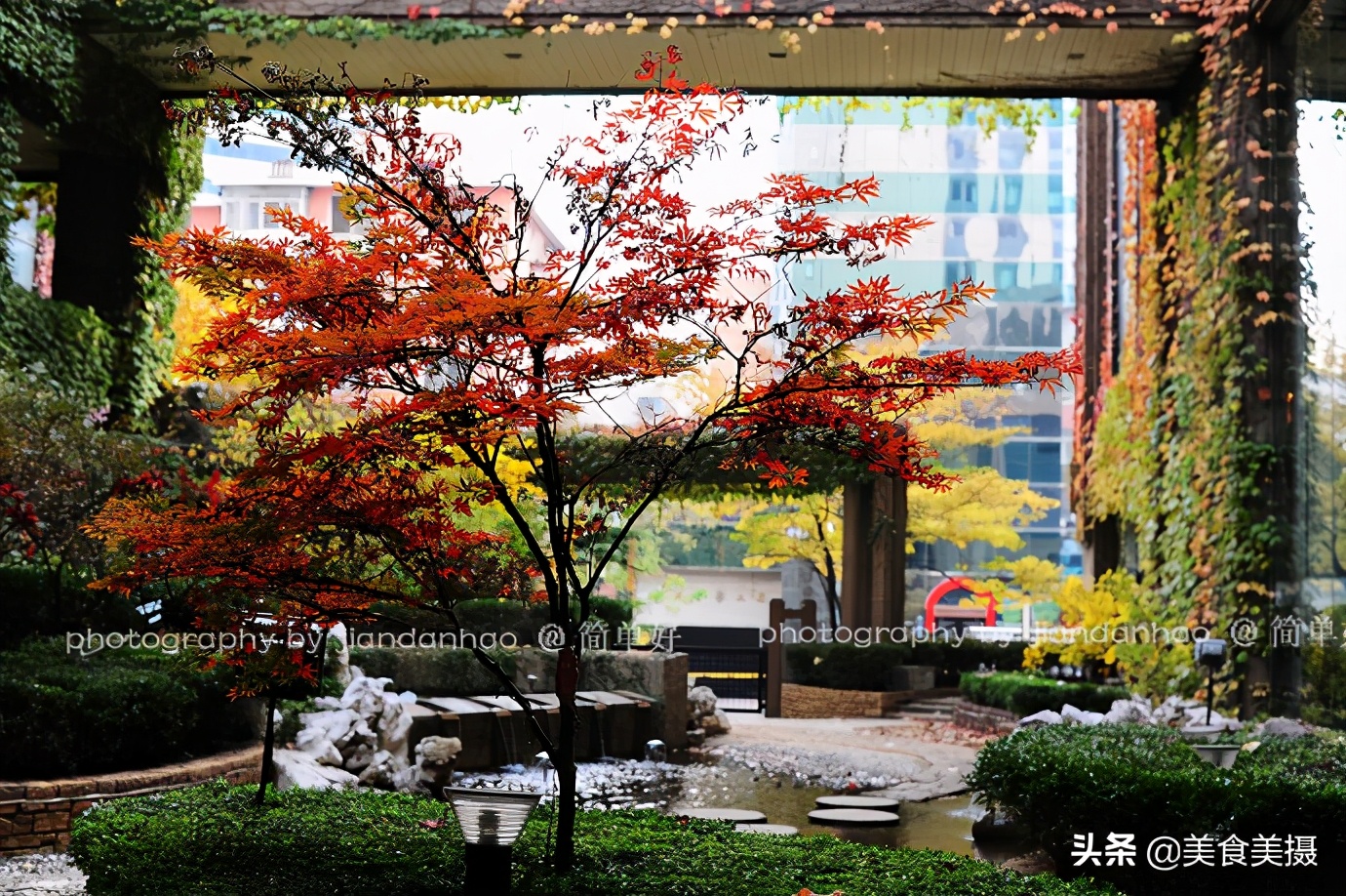 香格里拉360元两日游,香格里拉100元一日游