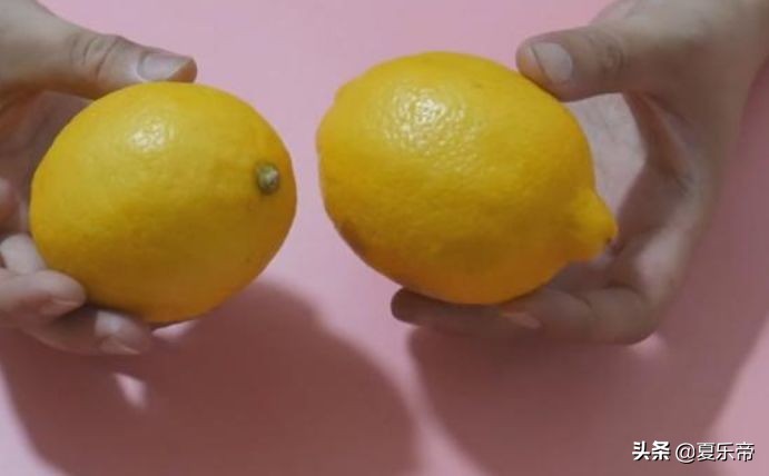 柠檬泡水可以用白醋吗,柠檬可不可以泡白醋