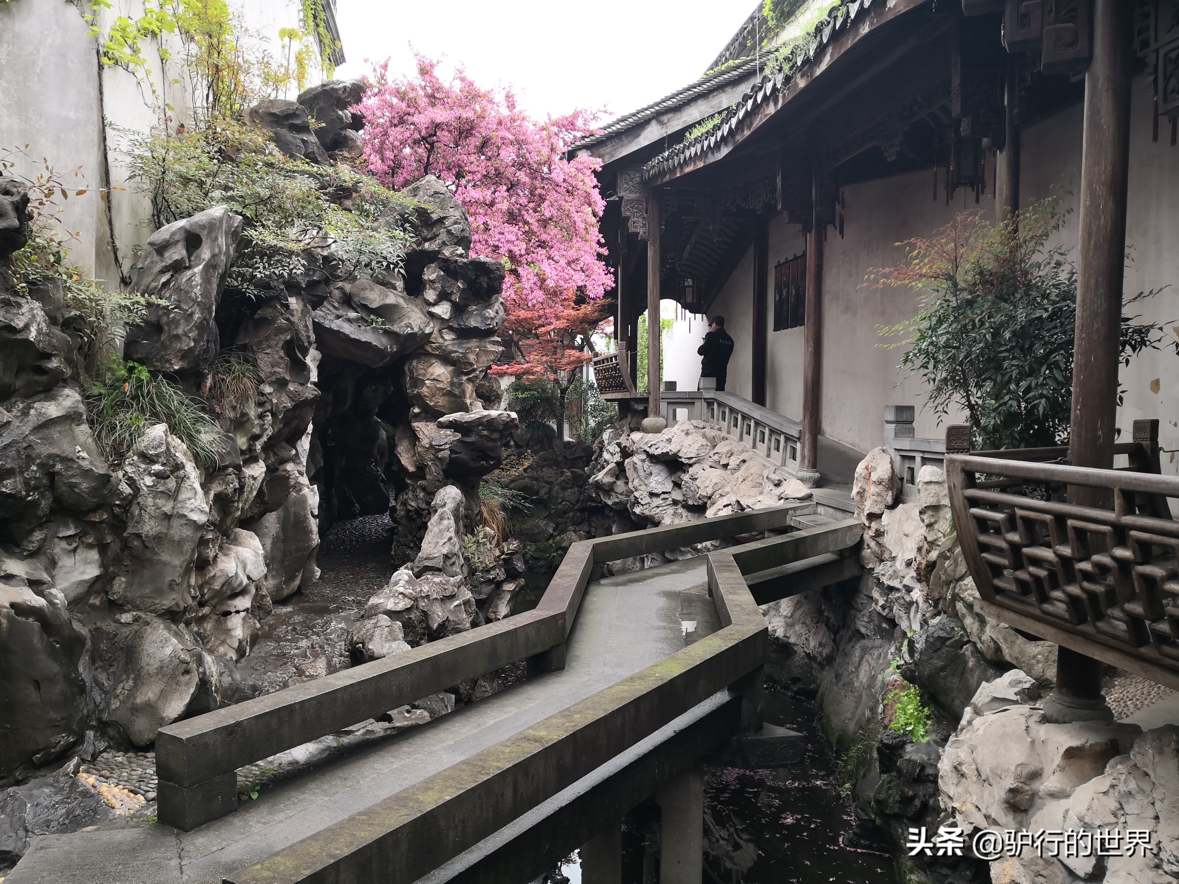 春来好心情，重游胡雪岩旧居