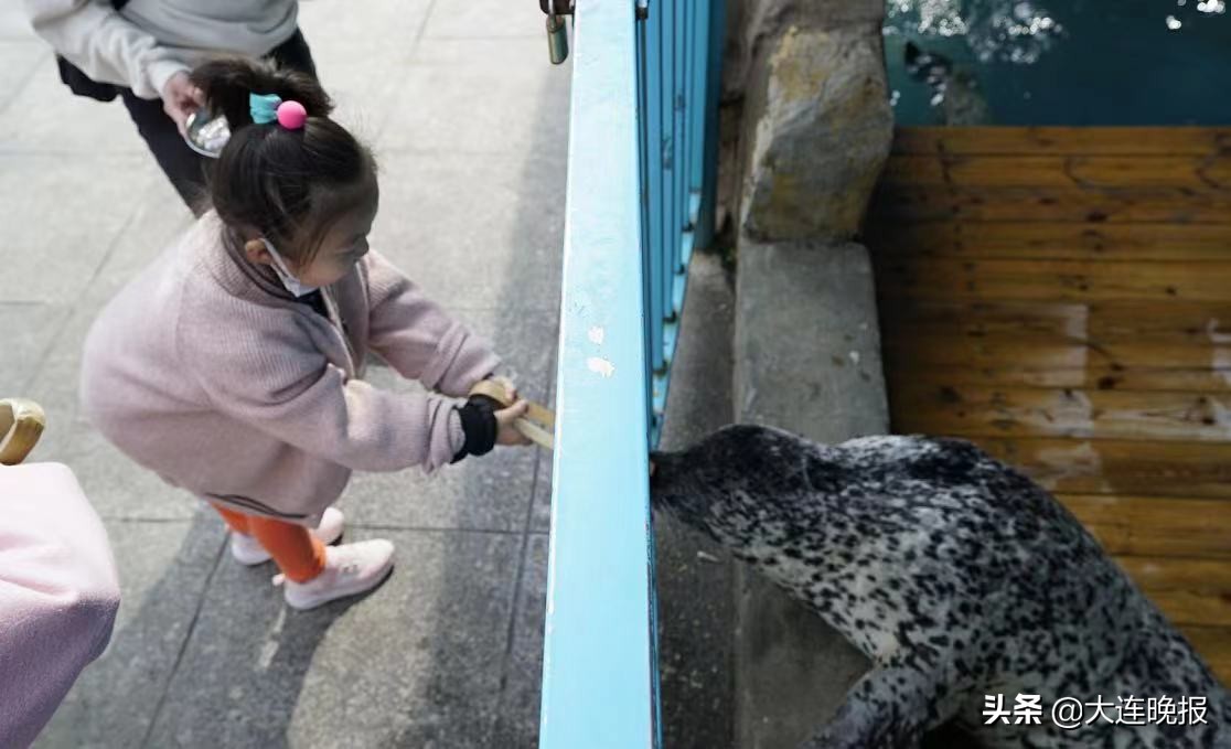 圣亚模式,圣亚夜场啥时候开