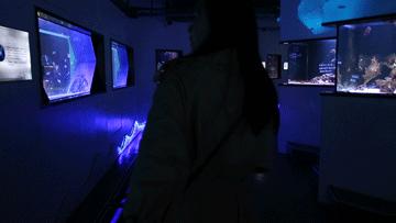 绚丽珊瑚海300+种海底生物，火爆盆友圈的网红打卡圣地就在中山路