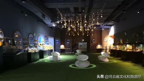 海洋公园特价35元起,快来唤醒来自世界各地的海洋居民吧!