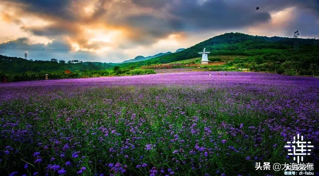 大连自驾游西藏最佳线路,大连奇葩10条线路