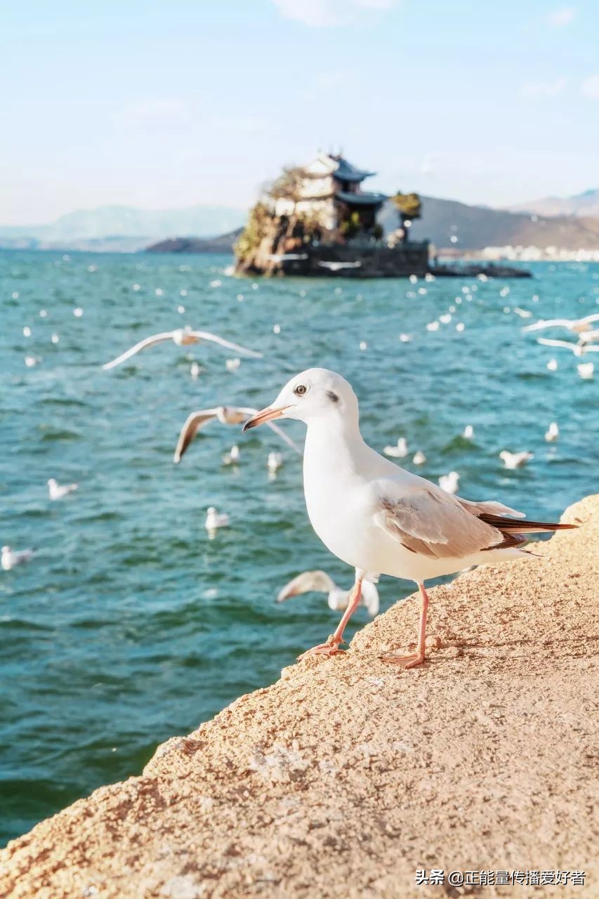 全世界50个最美景点,全球公认的最美的二十个地方