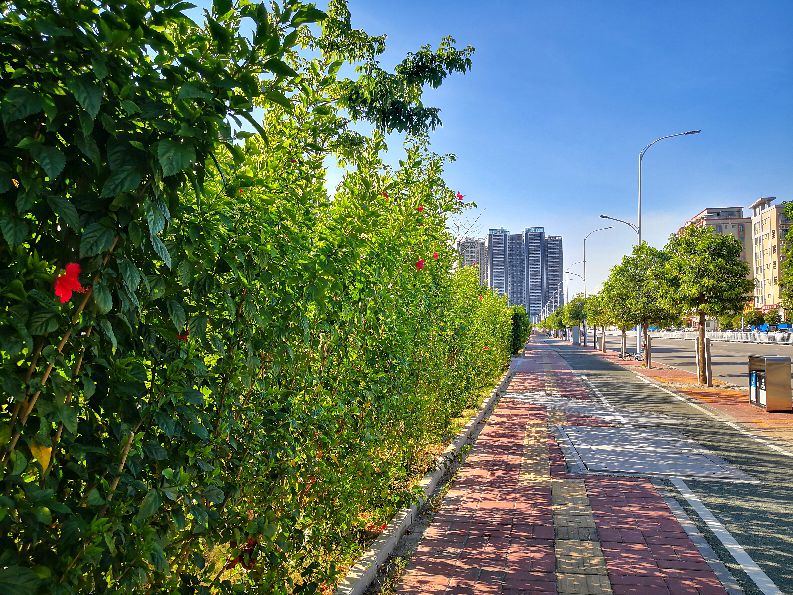 推荐一些便宜的运动手表 (劳力士的运动手表哪里也买不到吗)