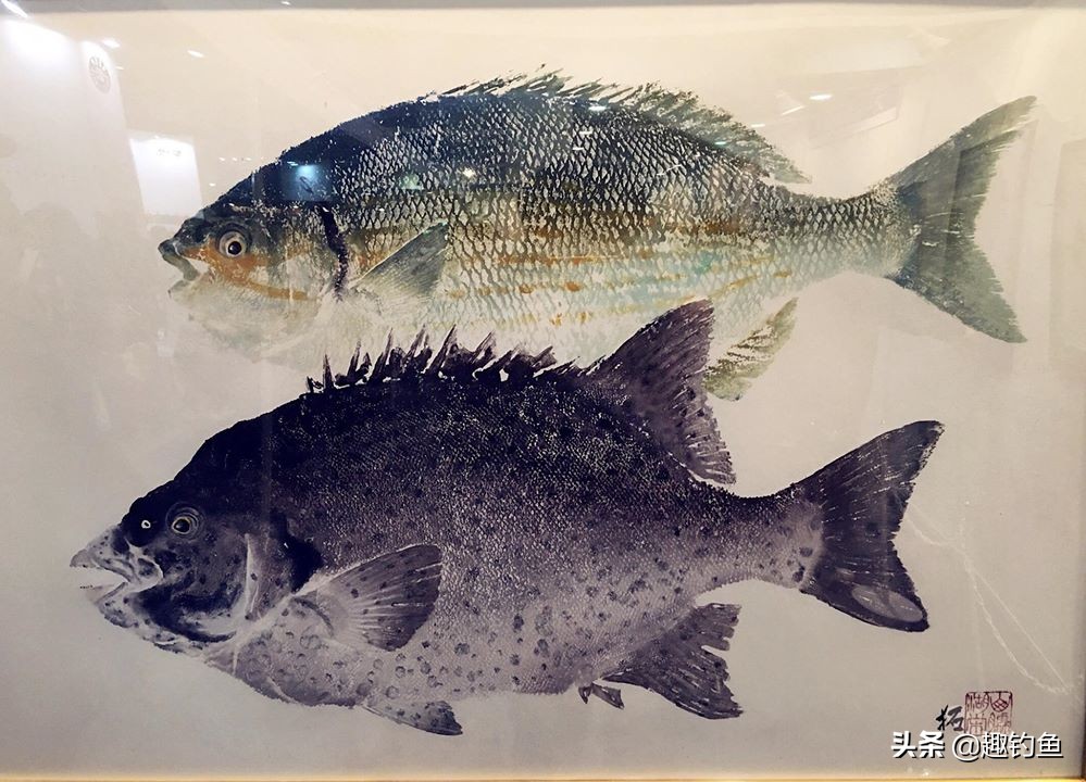 日本钓鱼装备视频,日本钓鱼渔具怎么用