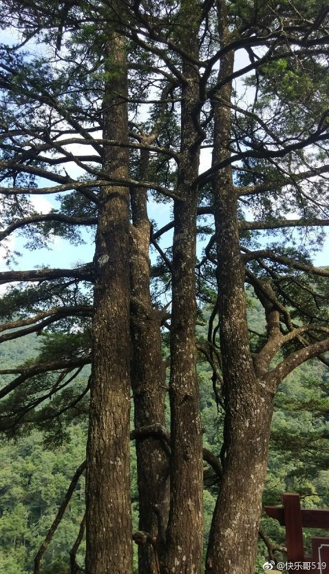 成都坐动车直达这片原始秘境！深幽峡谷、云海奇观、罕见古村…带你逃离夏天！