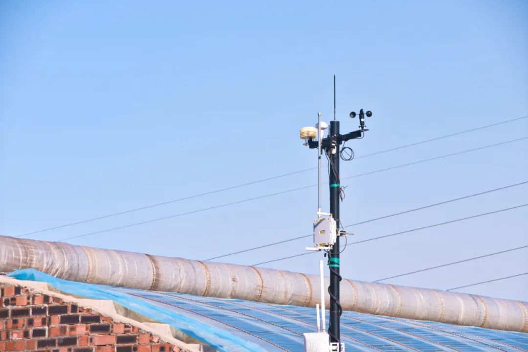 中国大沙漠的淘金客：*子骗**、教授与巨头