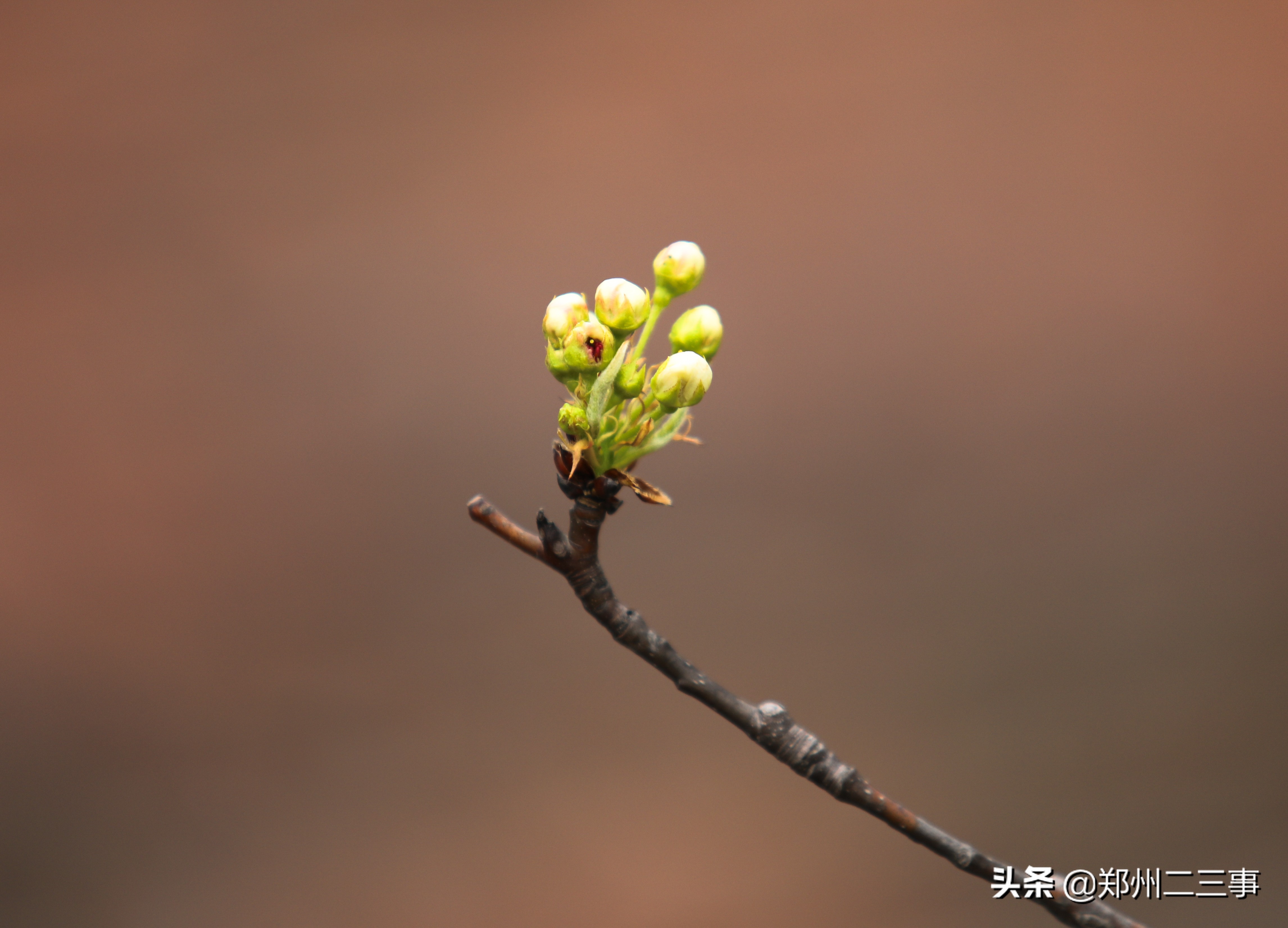 郑州惠济区免费遛娃好去处植物园,郑州遛娃踏青好去处