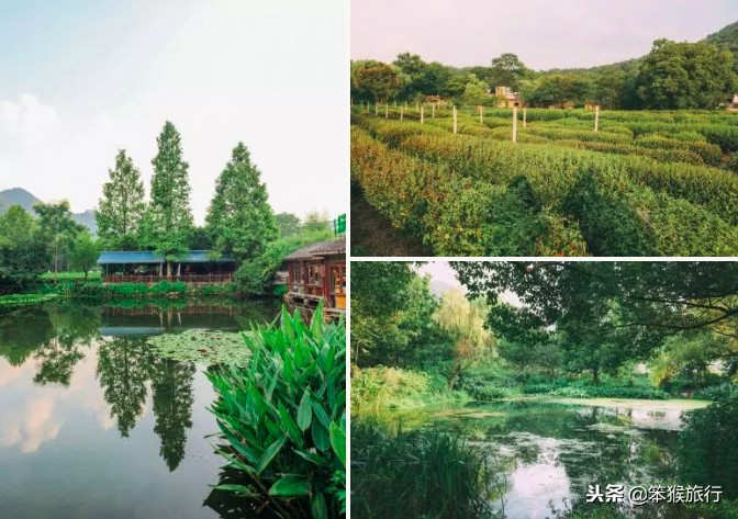 中国即将开通的超级高铁,中国最美高铁旅游线路排名