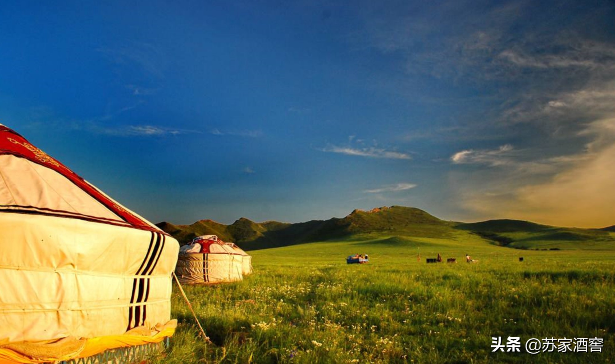 五谷也选美，粮食瞬间变金沙